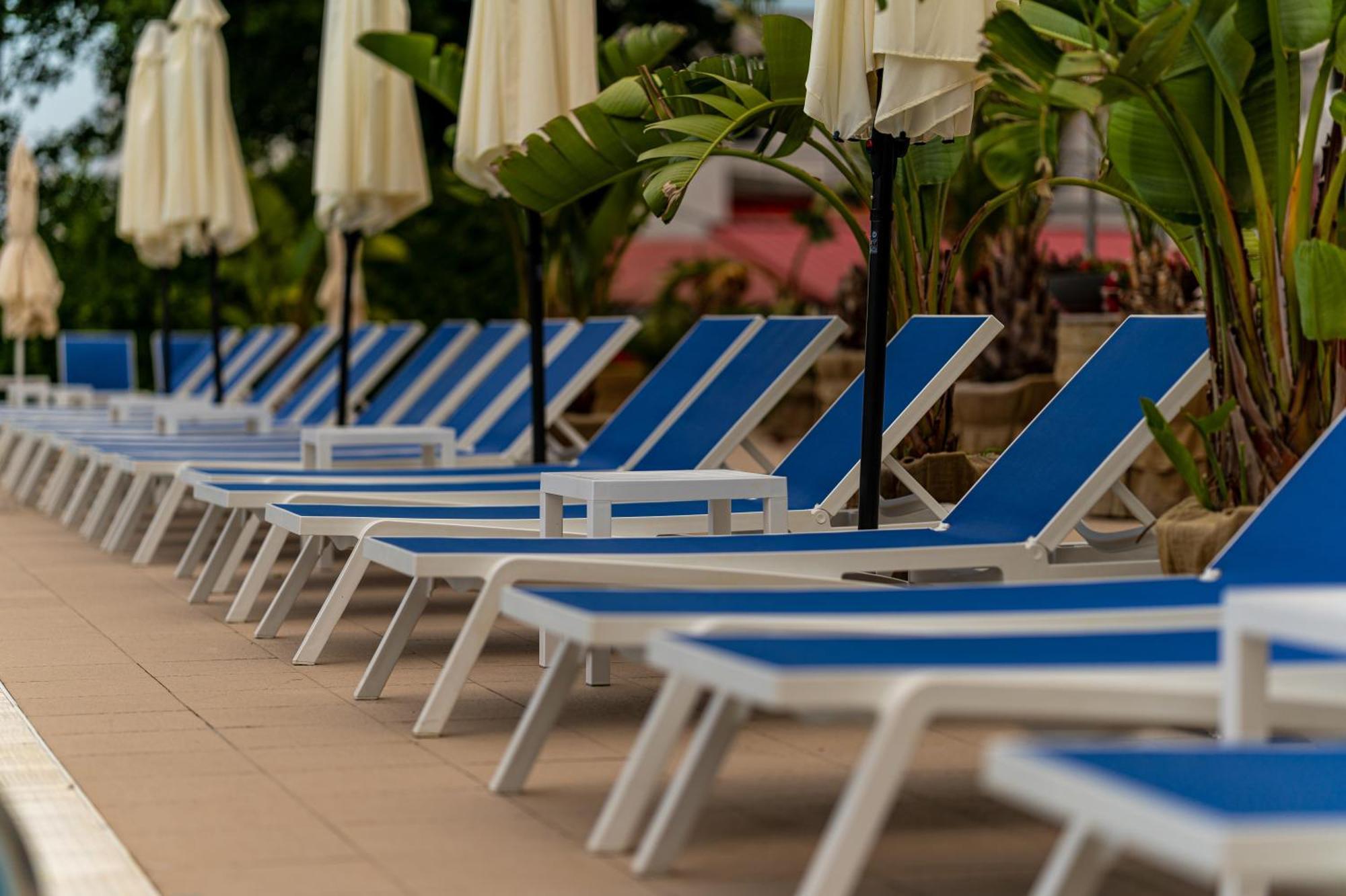 Dorna Mamaia
